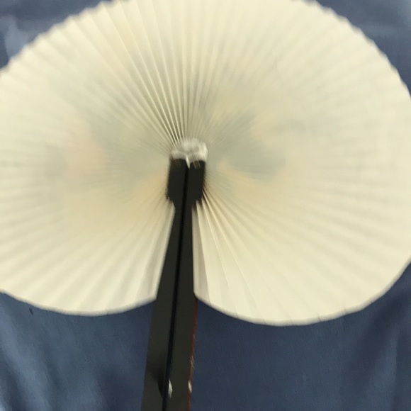 Beautiful Fan! - Picture 5 of 5